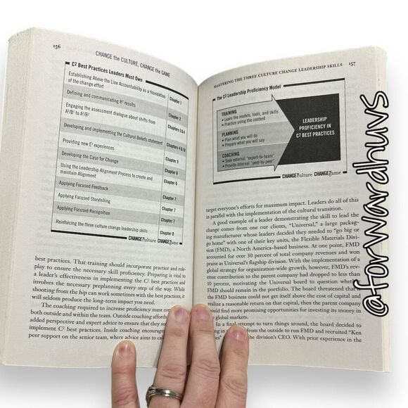 Change the Culture, Change the Game: Energizing Your Organization for Record-Bre - Picture 7 of 8